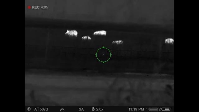 Pulsar Thermion 2 LRF XP50 Pro Video Of My First Hunt