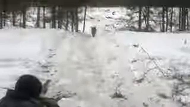 Охота на кабан смотреть онлайн