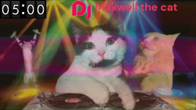 dj Maxwell the Cat mental test who can last 10 minutes? смотреть онлайн