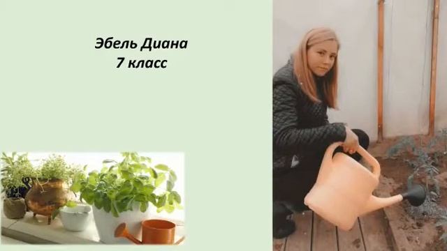 МБУ ДО ДДТ Мой кормилец - огород Ефремова ОП Братский район смотреть онлайн
