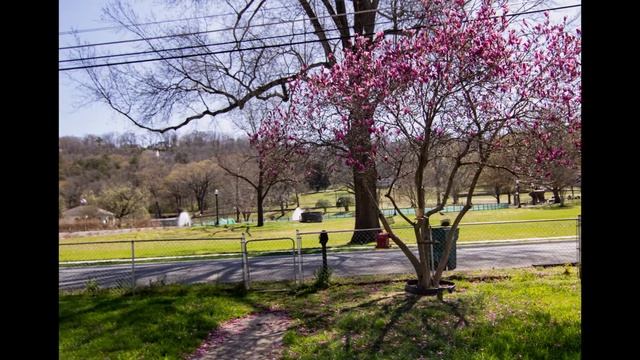 436 Frame Timelapse with MoveShootMove/Canon2000D смотреть онлайн