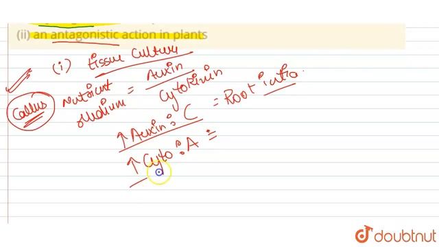 Taking the examples of auxins and cytockinins together explain: (i) a synergetic action in plant... смотреть онлайн