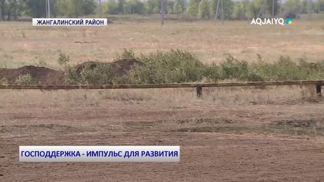 ГОСПОДДЕРЖКА - ИМПУЛЬС ДЛЯ РАЗВИТИЯ смотреть онлайн