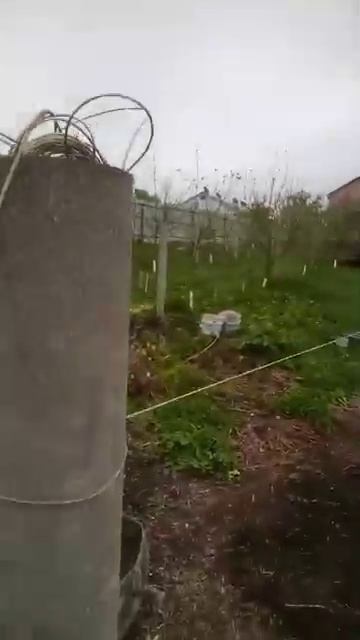 Посадка яблонь Ред Спур(360p) смотреть онлайн