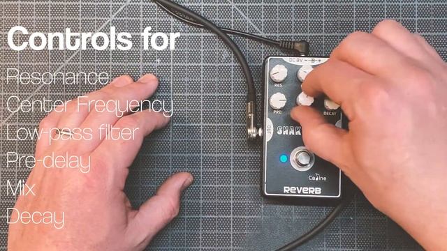 Caline Snake Bite Reverb - Quick Demo смотреть онлайн