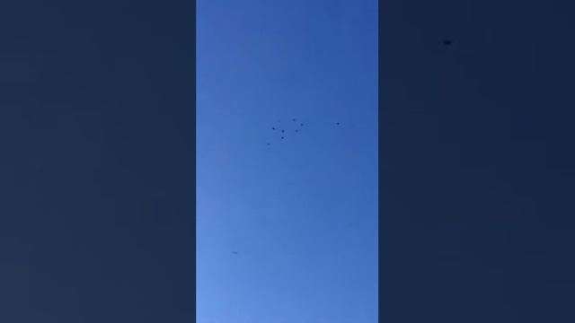 Николаевские голуби (2). Луганск смотреть онлайн