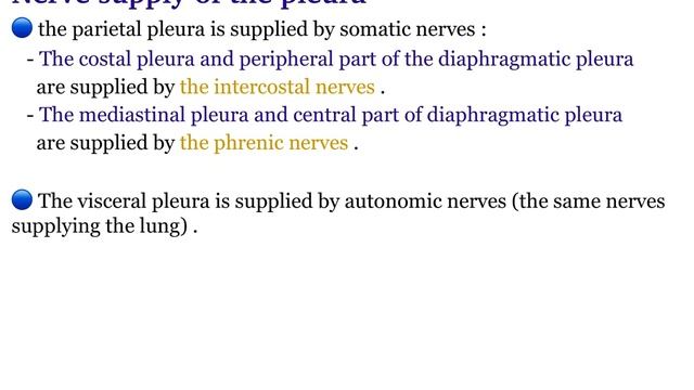 Thorax anatomy | L4 - The pleura | Sajjad Abdulaziz смотреть онлайн