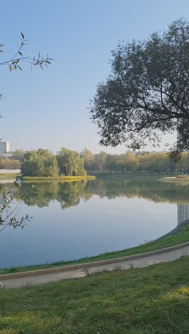 Пруд и растения 22.09.2023