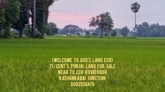 71/cent's punjai land for sale near to ECR kuvathoor Kathankadai... смотреть онлайн