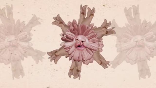 Mouth Wound - Crumbs смотреть онлайн