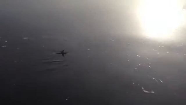 4 lb pike смотреть онлайн