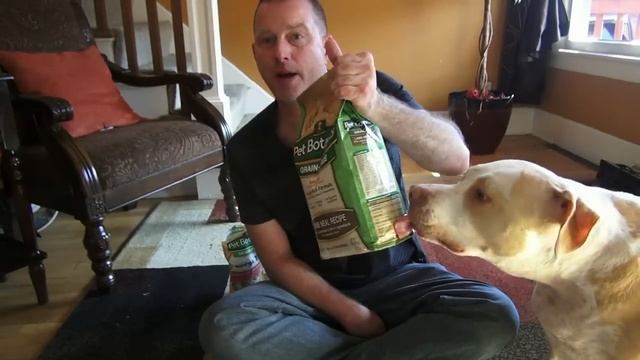 Cookie The Big Fat Pit Bull - Coffee Table With A Tail смотреть онлайн