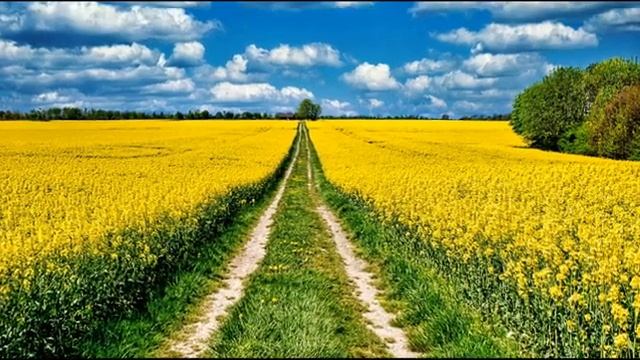 Я Тебя пригласил Одного на всем белом свете ! смотреть онлайн