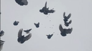 Донецк на связи.