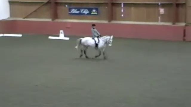 Bella Nichols and Valley Grey Dengie Novice March 2013 смотреть онлайн