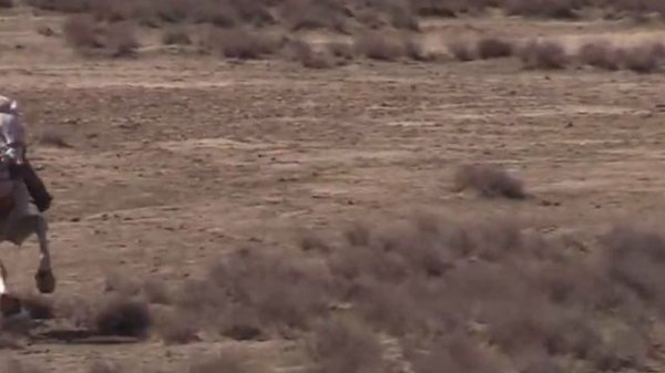 Наурызнама – новый  Наурыз? Что это за праздники