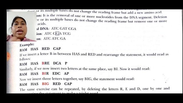 Class XII # Biology # Chapter - 6 # Molecular basis of inheritance смотреть онлайн