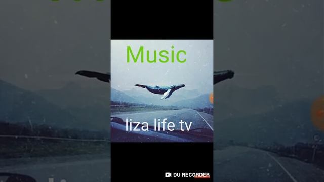 Песня синего кита смотреть онлайн