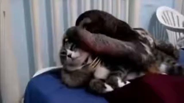 Полное расслабление смотреть онлайн