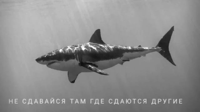 104 - не жаль ( скриптонит , Мияаги) Miyagi , Scriptonite Remix Bass (Margaryan Beats)
