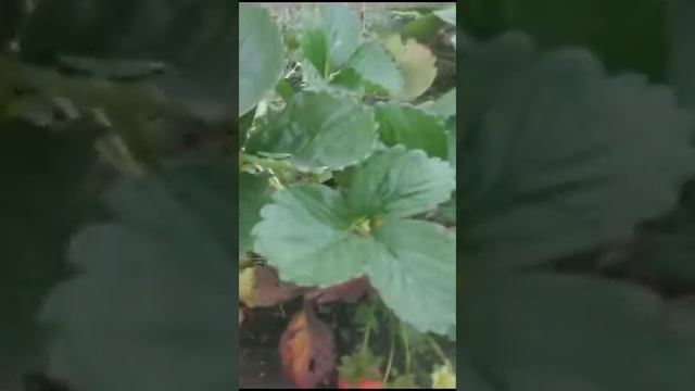 29 февраля 2024 г. (1) смотреть онлайн