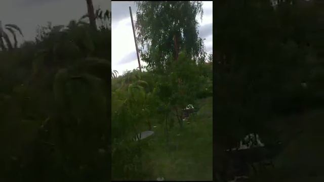 29 февраля 2024 г. (3) смотреть онлайн