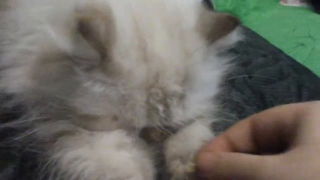 Наш тандем "Грызем семечки" смотреть онлайн