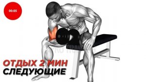 Только гантели: 6 упражнений на бицепс и трицепс. Эффективный комплекс упражнений на руки