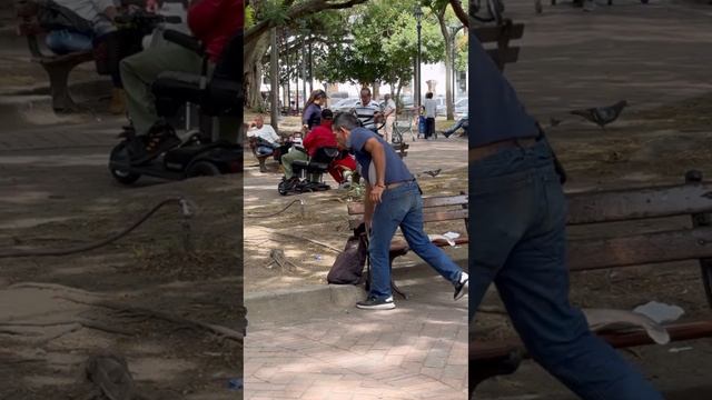 La chica y el pescado divertido смотреть онлайн