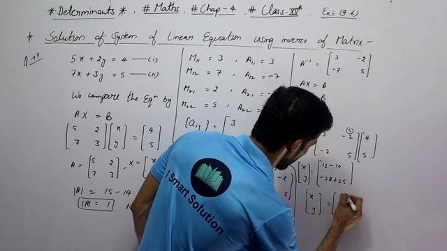 Solution Linear Equation By Matrix Method(Determinants)Chap-4|Class-12,Ex.-4.6,With Example смотреть онлайн