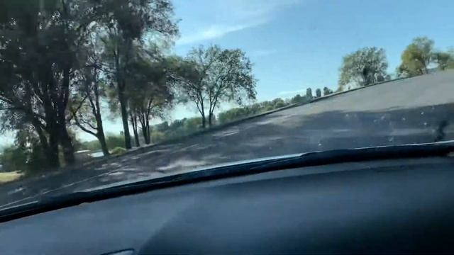 балаково деревья смотреть онлайн