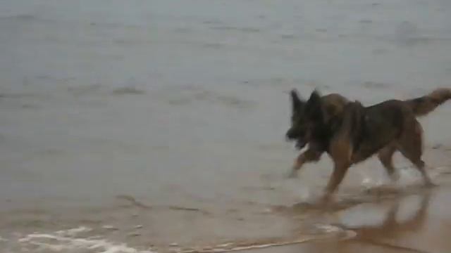 Эля и волны смотреть онлайн