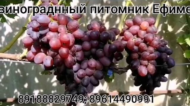 Блэк баллади смотреть онлайн
