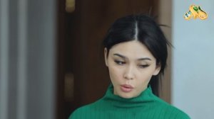 Noshukur qiz qismati... Iqror, 741 - son