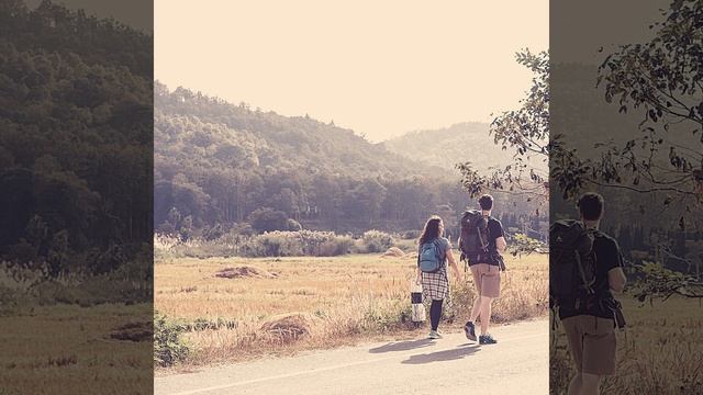 Музыка (Изучение) смотреть онлайн