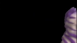 Baby Einstein - Baby Monet (Cantonese; 2005)