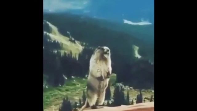 PLAYING AGAINST A PRO SG| Kilo Bolt Gameplay смотреть онлайн