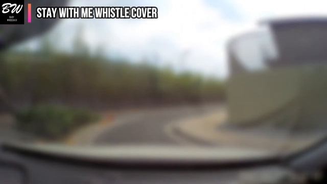 Sam Smith - Stay With Me | Whistle Cover by Baby Whoosher смотреть онлайн