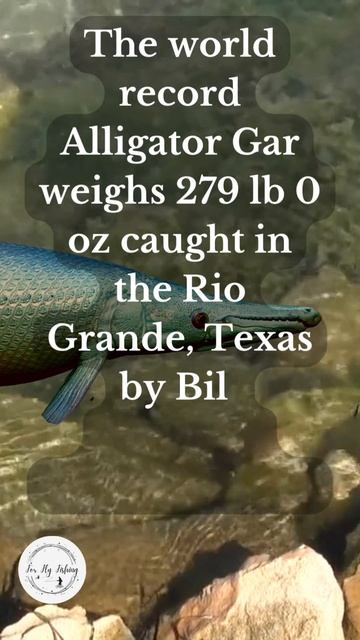 What is the World Record Alligator Gar? смотреть онлайн