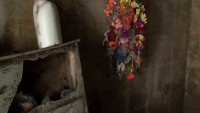 MaximsNewsNetwork: ANGELINA JOLIE in PAKISTAN to SHOW HER SUPPORT for the PEOPLE (UNHCR) смотреть онлайн