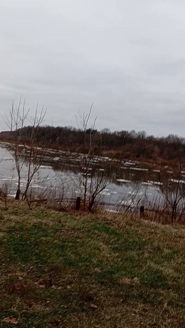 Заселился в пятизвёздочный отель 😄 смотреть онлайн