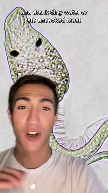Do you have parasites? #science #parasitecleaner #parasites смотреть онлайн