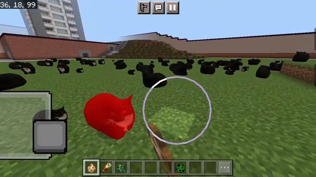 3D Maxwell the Cat MOD in Minecraft PE
