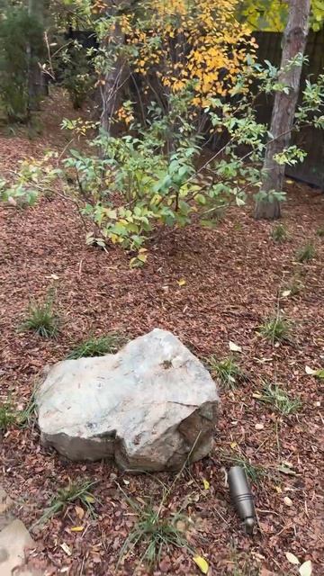 Установили прожекторы смотреть онлайн