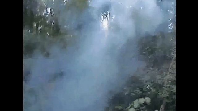 Schwarzpulverexplosion im Wald смотреть онлайн