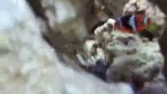 Oceanic Biocube part 2 смотреть онлайн
