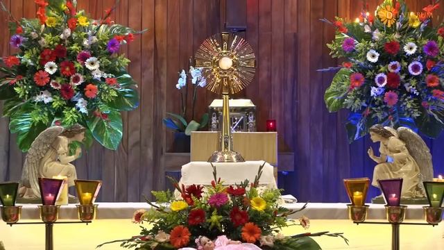 Jesús me perdona y me libera de las ataduras del mal - Padre Martin Avalos y Ministerio Dei Verbum смотреть онлайн