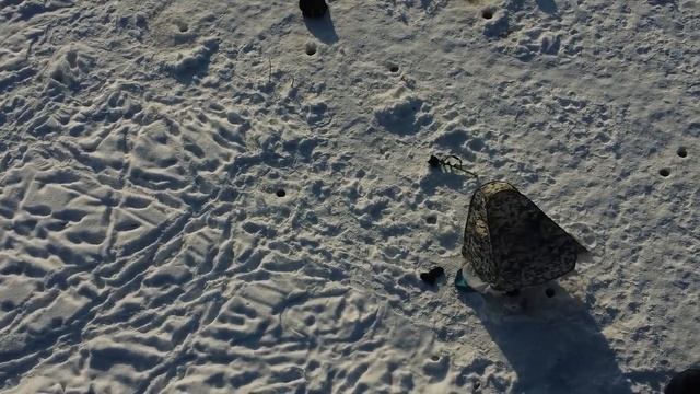 РОДНЫЕ ПРОСТОРЫ ПОЛЕТ НА КВАДРОКОПТЕРЕ НАД РЕКОЙ ТОМЬ