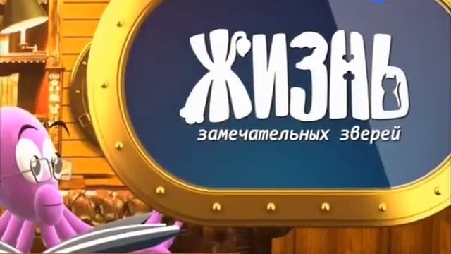 Анонс "Жизнь замечательных зверей" (Карусель, 2011) смотреть онлайн
