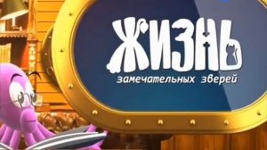 Анонс «Жизнь замечательных зверей» (Карусель, 2011)